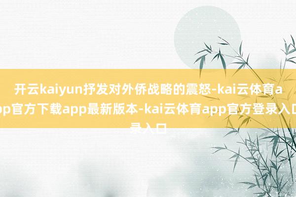 开云kaiyun抒发对外侨战略的震怒-kai云体育app官方下载app最新版本-kai云体育app官方登录入口
