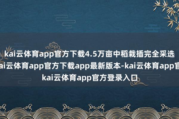 kai云体育app官方下载4.5万亩中稻栽插完全采选了机插秧-kai云体育app官方下载app最新版本-kai云体育app官方登录入口